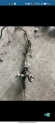 Oto Çıkma Parça / Ford / Focus / Direksiyon / Direksiyon Kutusu / Çıkma Parça 