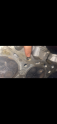 Oto Çıkma Parça / Nissan / Maxima / Motor / Silindir Kapağı / Çıkma Parça 