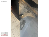 Oto Çıkma Parça / Volkswagen / Passat / Kaporta & Karoser / Kaput / Çıkma Parça 