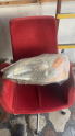 honda civic vtec1 sol stop
