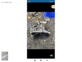 Oto Çıkma Parça / Fiat / Tempra / Şanzıman / Şanzıman Komple / Çıkma Parça 