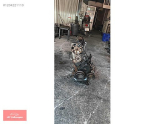 Oto Çıkma Parça / Volkswagen / Polo / Motor / Komple Motor / Çıkma Parça 