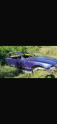 BMW E36 coupe sağ ön kapı