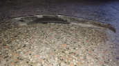 Oto Çıkma Parça / Citroen / C4 / Tampon / Tampon Koruyucu / Çıkma Parça 