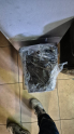 Oto Çıkma Parça / Nissan / Skystar / Motor / Motor (komple) / Çıkma Parça 