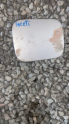 Oto Çıkma Parça / Chevrolet / Lacetti / Yakıt / Depo Kapağı / Çıkma Parça 