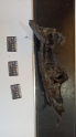 8k0805607b A4 SOL FAR ALT BRAKETİ
