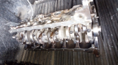 Oto Çıkma Parça / Toyota / Cressida / Motor / Blok / Çıkma Parça 