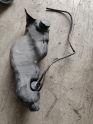 289101124R Express Washer tank