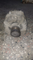 Mercedes w117 w176 w246 a180 cla180 şarj dinamosu a0009063822
