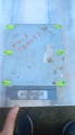 Ford focus connet motor beyni