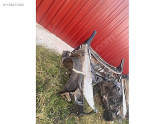 Oto Çıkma Parça / Audi / A6 / Tampon / Ön Koruma Demiri / Çıkma Parça 