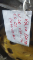 Oto Çıkma Parça / Volvo / S80 / Şanzıman / Şanzıman Komple / Çıkma Parça 