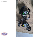 Oto Çıkma Parça / Ford / Focus / Göğüslük & Torpido / Komple Torpido / Çıkma Parça 