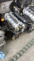 Linea motor