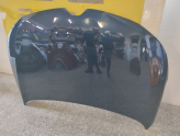 Oto Çıkma Parça / Renault / Megane / Kaporta & Karoser / Kaput / Çıkma Parça 