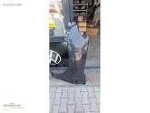 Oto Çıkma Parça / Ford / Ranger / Kaporta & Karoser / Sağ Ön Çamurluk / Çıkma Parça 