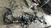 Oto Çıkma Parça / Peugeot / Rifter / Motor / Elektrik Tesisatı / Çıkma Parça 