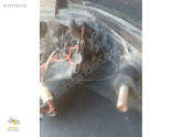 Oto Çıkma Parça / Peugeot / 307 / Far & Stop / Sol Arka Stop / Çıkma Parça 