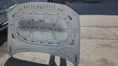 Oto Çıkma Parça / Volkswagen / Passat / Kaporta & Karoser / Kaput / Çıkma Parça 