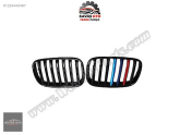 BMW X5 E70 X6 E71 ÖN PANJUR IZGARA 2007 2008 2009 2010 2011 2012