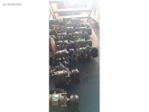 Oto Çıkma Parça / Honda / Civic / Klima / Klima Kompresörü / Çıkma Parça 