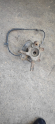 Oto Çıkma Parça / Nissan / Almera / Alt Takım / Taşıyıcı / Çıkma Parça 