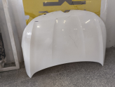 Oto Çıkma Parça / Renault / Megane / Kaporta & Karoser / Kaput / Çıkma Parça 