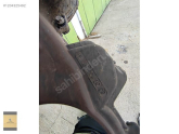 Oto Çıkma Parça / Ford / Focus / Motor / Triger Seti / Çıkma Parça 