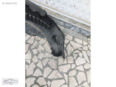Oto Çıkma Parça / Opel / Corsa / Tampon / Ön Tampon / Çıkma Parça 