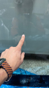 Oto Çıkma Parça / Mercedes / S Serisi / Oto Cam / Ön Cam / Çıkma Parça 