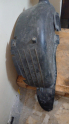 C4 Citroen sağ arka davlumbaz kaktüs Dkn 9801624380