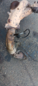 Oto Çıkma Parça / Mazda / 323 / Egzoz / Egzoz Manifoldu / Çıkma Parça 