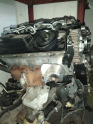 Oto Çıkma Parça / Audi / A4 / Motor / Motor (komple) / Çıkma Parça 