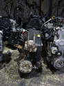 Oto Çıkma Parça / Fiat / Doblo / Motor / Motor (komple) / Sıfır Parça 