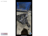 Oto Çıkma Parça / Honda / CR-V / Şanzıman / Şanzıman Komple / Çıkma Parça 
