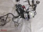 Oto Çıkma Parça / Ford / Focus / Elektrik / Elektrik Tesisatı / Çıkma Parça 