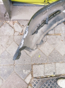Oto Çıkma Parça / Opel / Insignia / Tampon / Ön Tampon / Çıkma Parça 