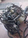 Oto Çıkma Parça / Volkswagen / Polo / Motor / Motor (komple) / Çıkma Parça 