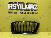 BMW F30 SOL BÖBREK PANJUR ORJİNAL 1