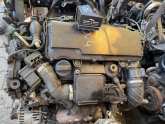 Oto Çıkma Parça / Ford / Fiesta / Motor / Motor (komple) / Çıkma Parça 
