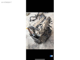 Oto Çıkma Parça / Volkswagen / Bora / Motor / Motor (komple) / Çıkma Parça 