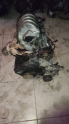 Oto Çıkma Parça / Renault / Megane / Motor / Motor (komple) / Çıkma Parça 