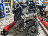 Oto Çıkma Parça / Peugeot / 301 / Motor / Motor (komple) / Çıkma Parça 