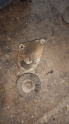 Oto Çıkma Parça / Peugeot / 306 / Motor / Triger Rulmanı / Çıkma Parça 