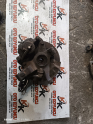 Oto Çıkma Parça / Mazda / 626 / Alt Takım / Taşıyıcı / Çıkma Parça 