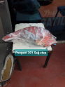 Oto Çıkma Parça / Peugeot / 301 / Far & Stop / Bagaj Stop / Çıkma Parça 