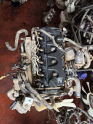 Oto Çıkma Parça / Nissan / Navara / Motor / Motor (komple) / Çıkma Parça 