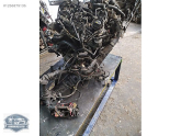 AUDİ A6 2.0 TDİ CNH KODLU MOTOR KOMPLE ORJİNAL