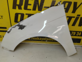 Oto Çıkma Parça / Renault / Megane / Kaporta & Karoser / Sol Ön Çamurluk / Çıkma Parça 